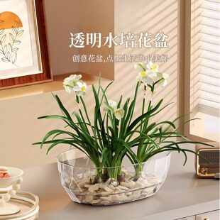亚克力透明花盆大容量水培花器办公室水仙花耐摔花瓶客厅水果盘子