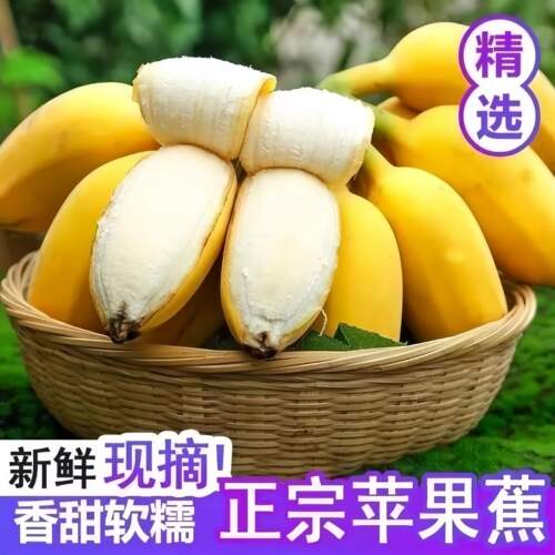 精品大蕉【正宗苹果香蕉】