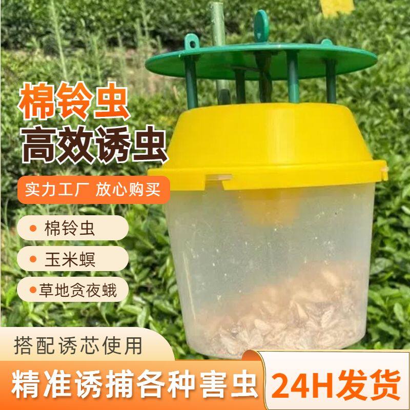棉铃虫茶园尺蠖花葡萄桶型