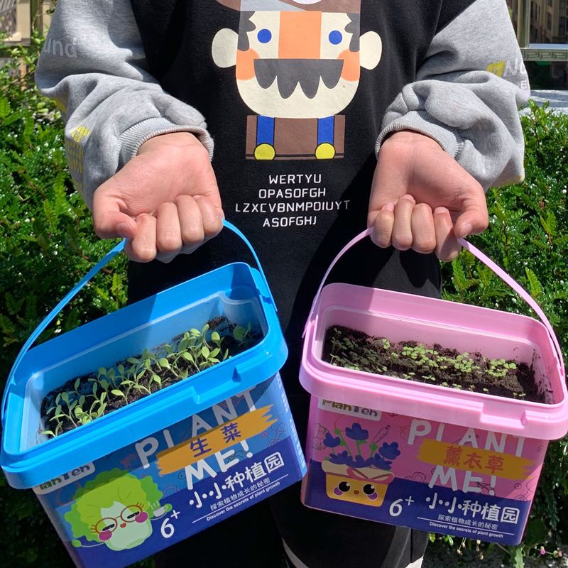 儿童DIY种植小盆栽幼园物