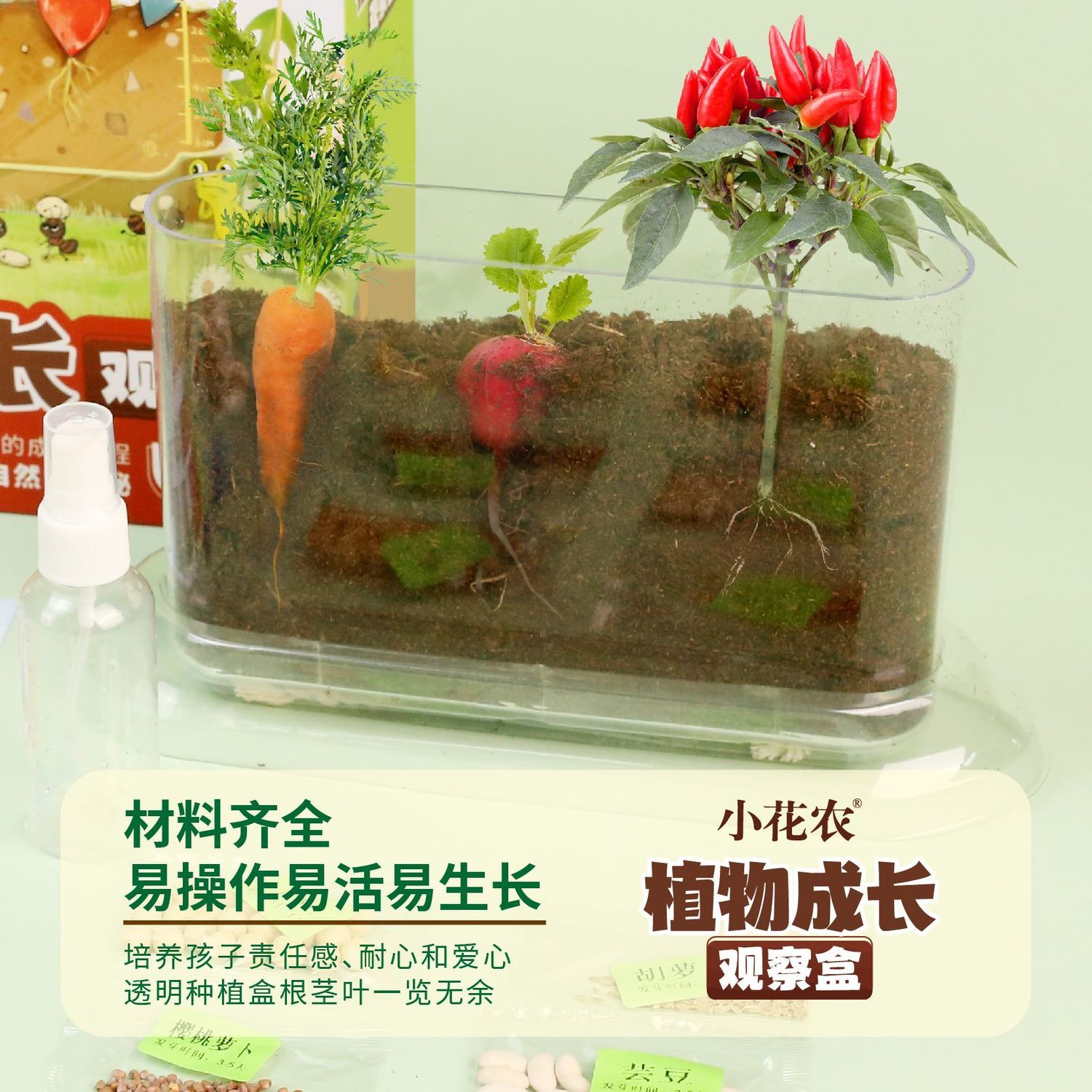 儿童种植小盆栽学生物长观
