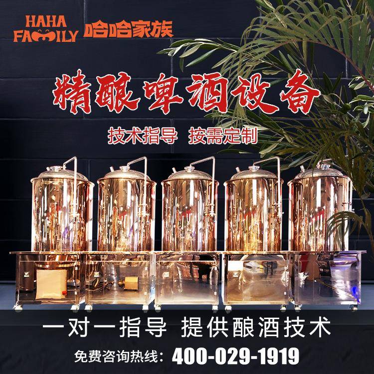 精酿啤酒加工机械酿造啤酒的设备大型精酿啤酒厂酿造设备