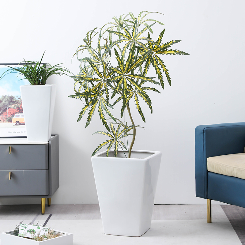 简约白色方形陶瓷花盆家用龙血树客厅落地金钱树兰花千年木高花盆