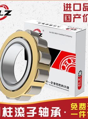 瓦房店圆柱滚子轴承RN307 308 309 310 311 312EM