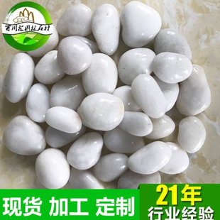 精品白色雨花石 鹅卵石 园林路面石 按摩白色卵石鱼池园林装饰石