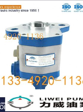 合肥力威QC18/13-A3000汽车油泵 A3000-3407100天力转向助力泵