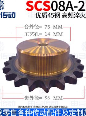 盛天SCS链轮 45号钢 加工成品 40B08A22齿 高精度耐磨损 申马传动