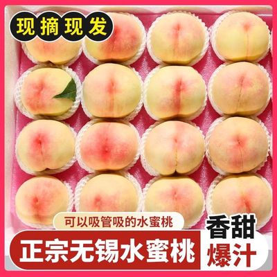 正宗无锡阳水蜜桃应季桃子时令水果新鲜一整箱当季湖景白凤山包邮