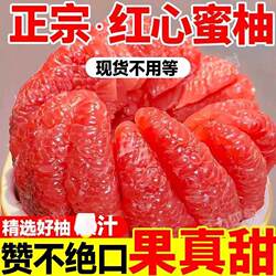 福建红心柚子10斤平和蜜柚新鲜水果当季整箱葡萄包邮三红肉叶琯溪