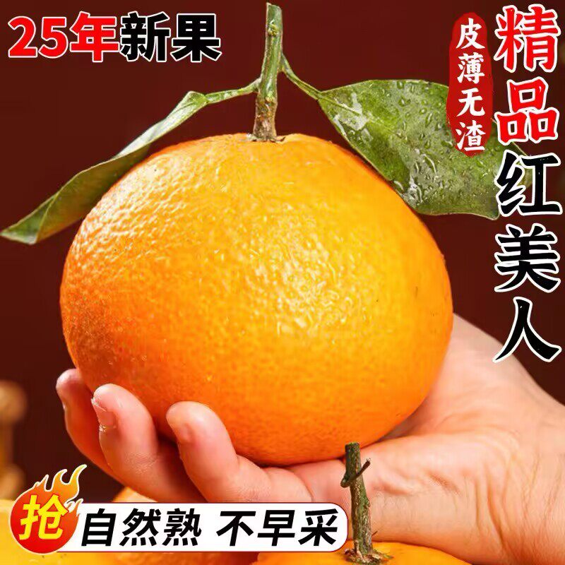 红美人果冻橙爱媛橙子果冻