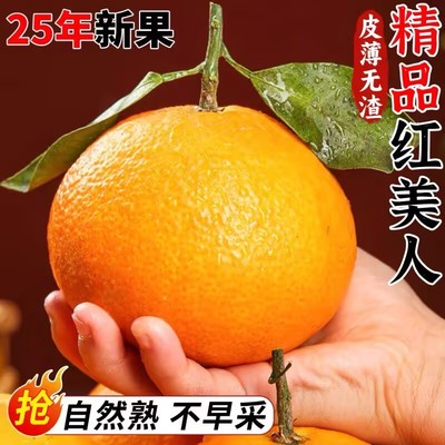 红美人果冻橙爱媛橙子果冻