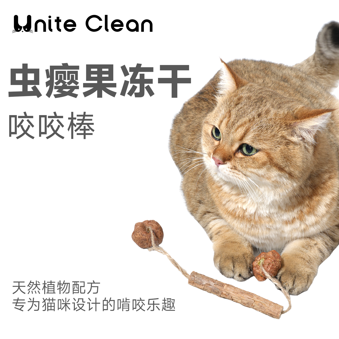 Unite Clean虫瘿果冻干咬咬棒猫玩具天然木天蓼磨牙棒自嗨解闷,宠物/宠物食品及用品,猫砂,淘宝优惠券,粉丝福利购,淘宝优惠卷