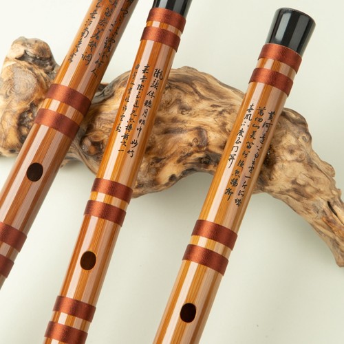 【宫音笛】王建宏风雅宫初级笛子古风短笛