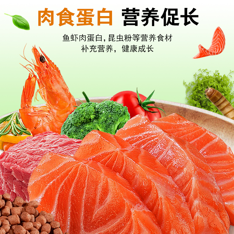 德瑞血鹦鹉鱼饲料红鹦鹉鱼食鹦鹉鱼饲料增红增色发财鱼热带鱼鱼粮