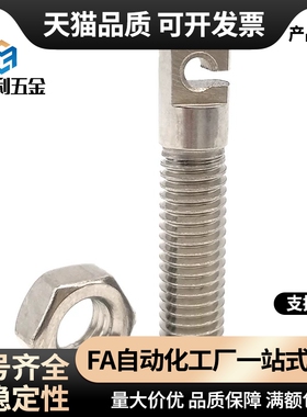 FFL11-D3/D4/D5/D6-L15/L20/L25拉伸弹簧支柱 带扁方全牙型SAIPOK