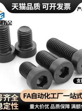 CBS5/6-5/6/8/10/12/16/20/25/30 CBSH5低头内六角螺栓 短头螺丝