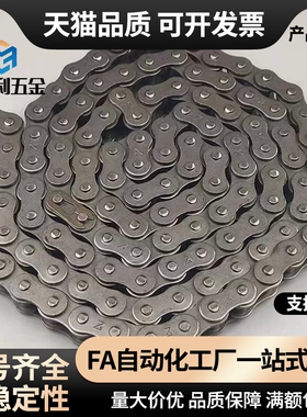 链条VMB/VMC/VMD/VMF/VMG/VMK/VML/VMN01-25/35/40/50/60/80/100