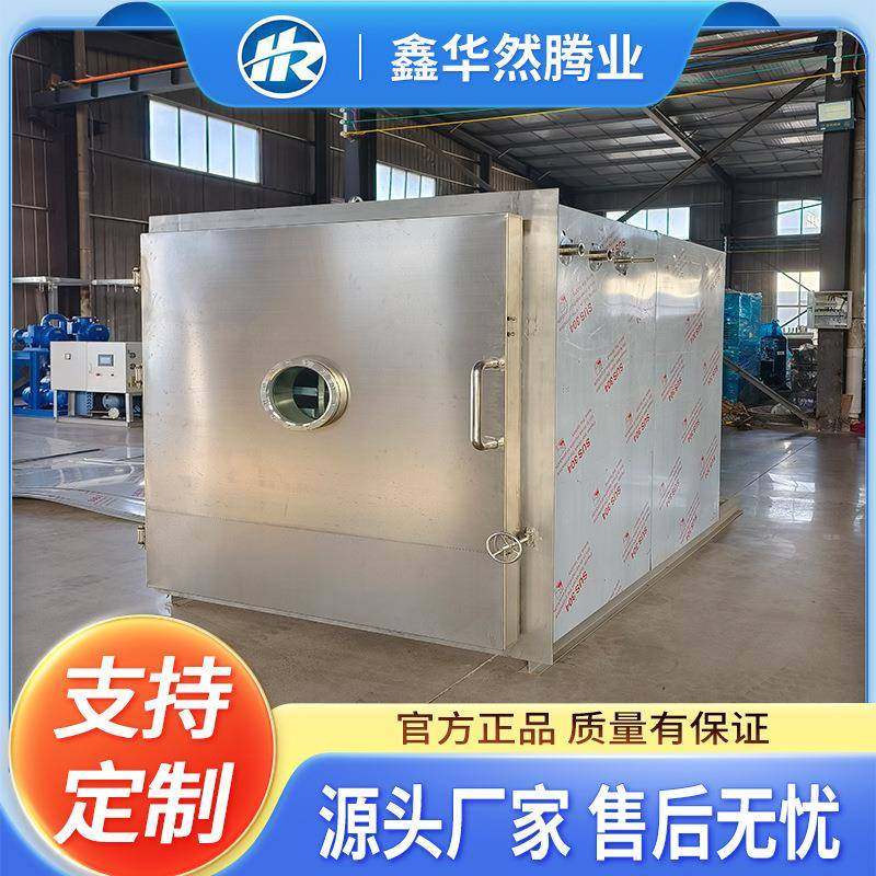 大型真空冷冻干燥机全自动芒果桑葚真空冻干机药草冻干设备