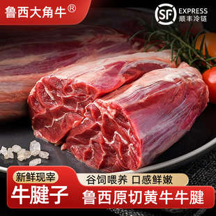 鲁西大角牛原切牛腱子肉金钱腱新鲜谷饲农家散养黄牛低脂新鲜现杀
