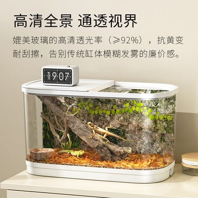 爬宠饲养箱陆龟角蛙饲养盒生态造景蜗牛乌龟缸寄居蟹守宫躲避屋