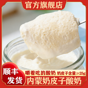 内蒙古特产鲜奶皮子老酸奶原味发酵乳低温经典老式酸奶官方旗舰店