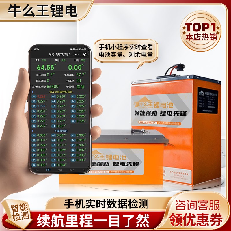 牛么王锂电池亿纬系列60V锂电池大容量72V电动车锂电池外卖锂电池
