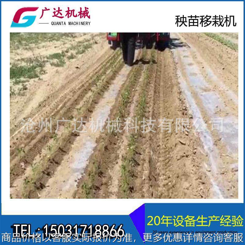 厂家直销 农业机械设备 辣椒移裁机 多功能一体秧苗移裁机,农机/农具/农膜,播种栽苗器/地膜机,淘宝优惠券,粉丝福利购,淘宝优惠卷