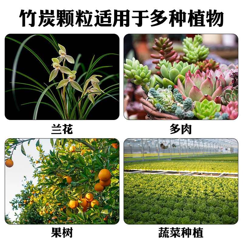 竹炭颗粒兰花营养土蝴蝶兰盆栽花卉绿植种花专用透气基质植料花盆