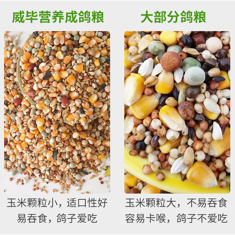 鸽粮饲料赛鸽信鸽鸽子食粮鸟食食物豌豆鸽玉米小粒混合补钙营养料