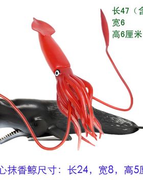 抹香大捕猎大王乌贼玩具仿真模型 鲸王酸浆鱿鱼巨U枪乌贼儿童玩偶