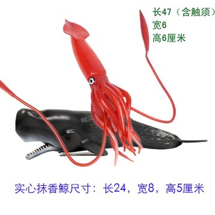 抹香大捕猎大王乌贼玩具仿真模型 鲸王酸浆鱿鱼巨U枪乌贼儿童玩偶