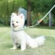中恒狗狗牵引绳p绳小型犬遛狗绳中大型犬防爆冲P链泰迪狗链子用品