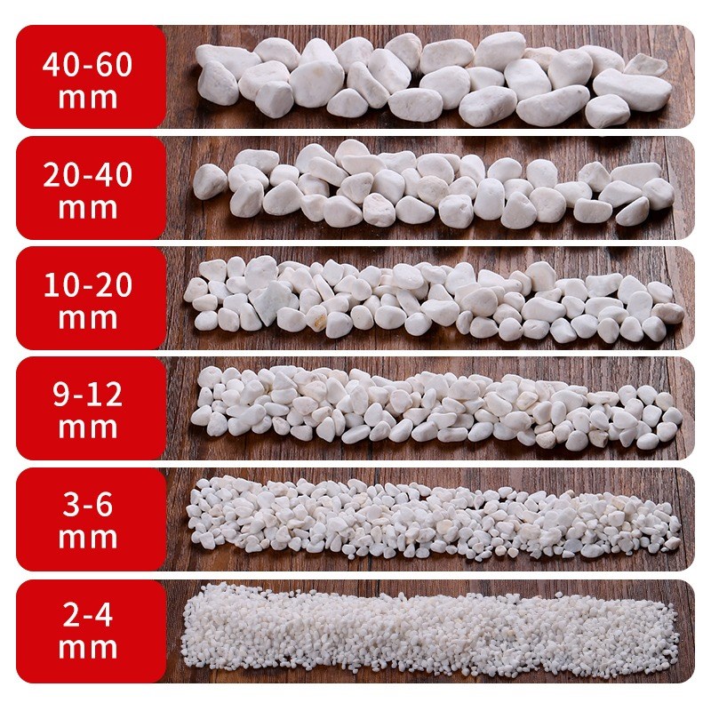 白石子白色鹅卵石庭院铺路铺地景观小石子鱼缸盆栽造景多肉铺面石