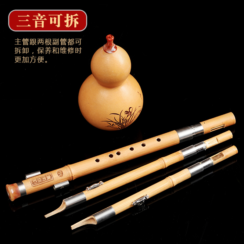 滇南丝韵楠竹葫芦丝乐器初学C调降B调小学生儿童成人初学者胡芦丝
