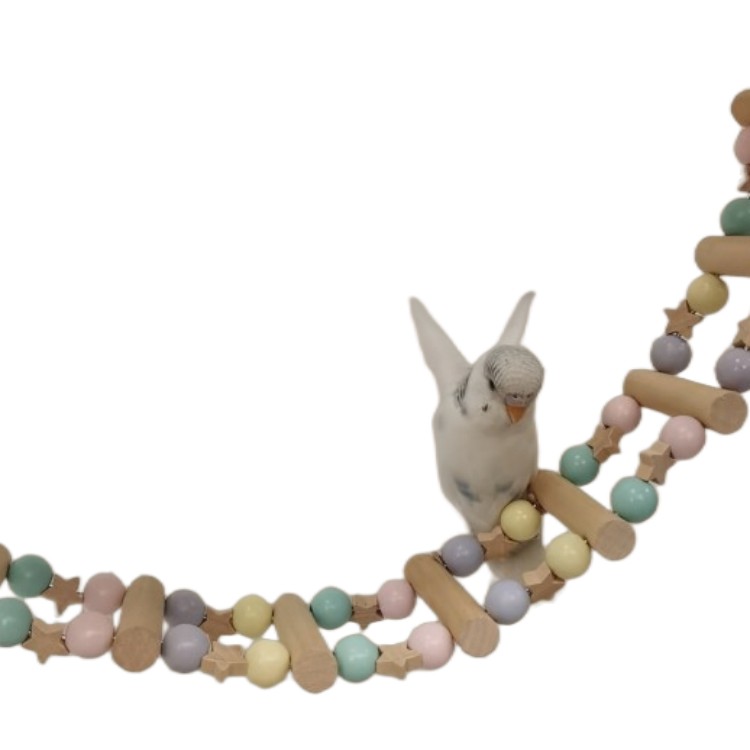 星星云梯子鸟笼梯子鹦鹉啃咬玩具用品玄凤牡丹鸟爬梯秋千啃咬攀爬