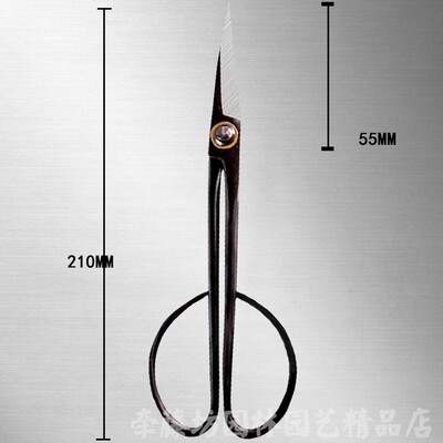 朱记叶芽剪锰钢材质细枝嫩芽松针整理昌蒲兰花分苗盆景造型工具