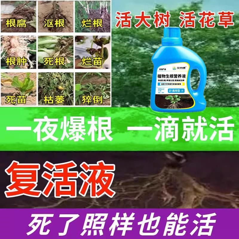 死树复活液大树生根药水再生激活营养液树木死苗烂根剂枯树复活灵