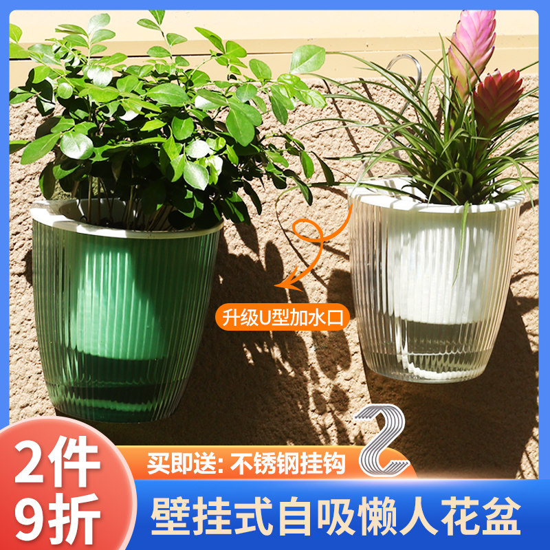 自动吸水壁挂式懒人透明客厅桌面装饰绿植花卉吊兰绿萝简约小花盆,鲜花速递/花卉仿真/绿植园艺,花盆,淘宝优惠券,粉丝福利购,淘宝优惠卷