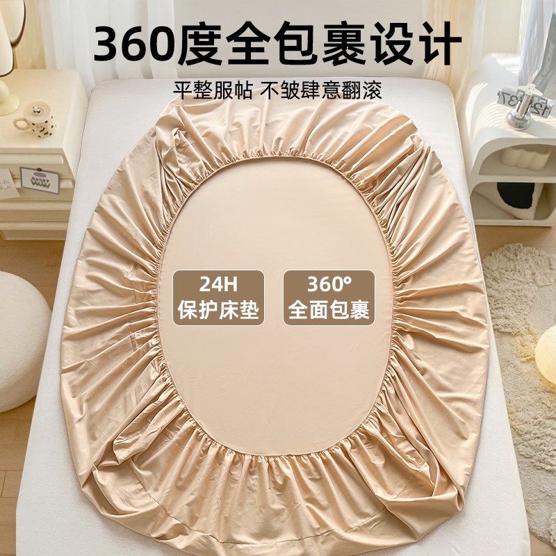 床笠单件100全棉床罩三件套2024新款四季通用床单保护床垫罩