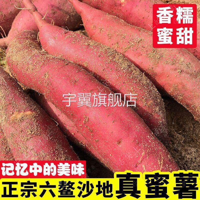 福建六鳌红蜜薯带箱10斤新鲜红心红薯沙地番薯农家自种小地瓜山芋