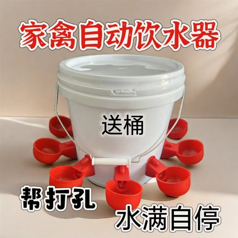 鸡鸭鹅家禽自动喂水器养殖专用水桶鸭鹅喂鸡自动饮水器鸽子饮水碗