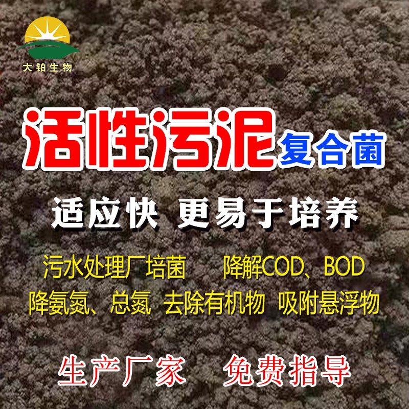 活性污泥菌种好氧池厌氧生化系统启动培菌微生物复合污水处理菌剂