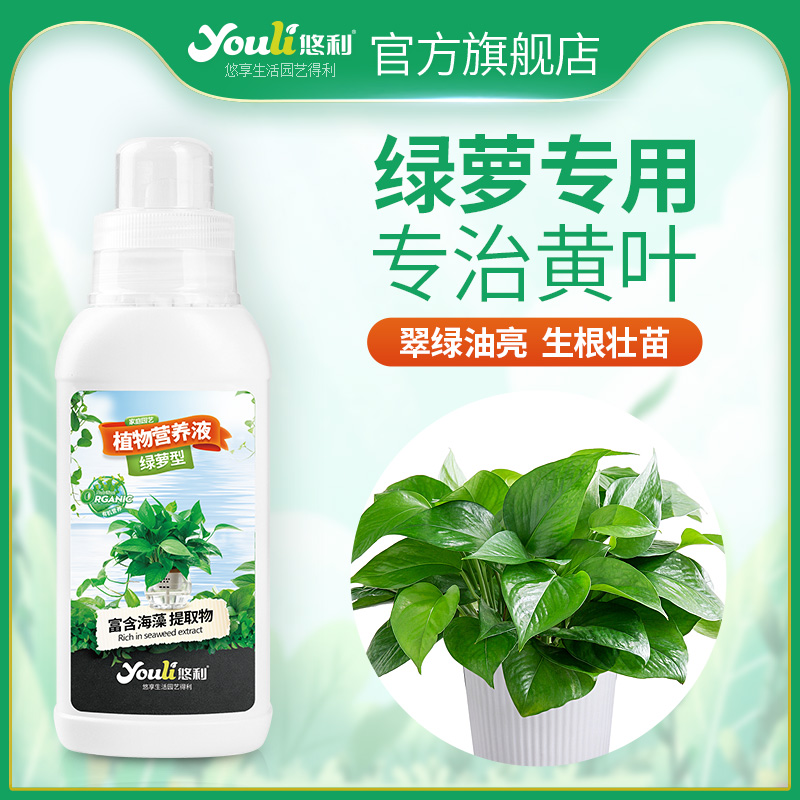 悠利绿萝营养液专用盆栽肥料专用肥室内植物水培花肥料大叶防黄叶