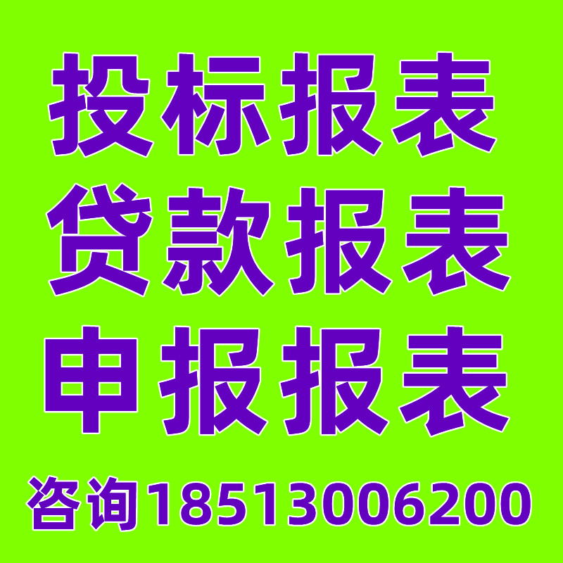 招投标财务报表贷款年度报表模板编制资产负债表申报资料