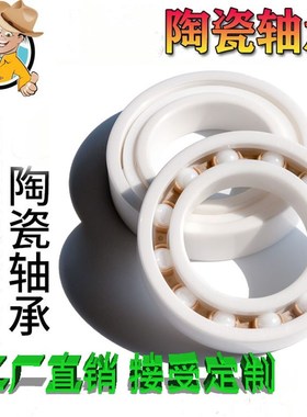 氮化硅/氧化锆全陶瓷轴承6201/6202/6203/6204/6205/6206 207 8CE
