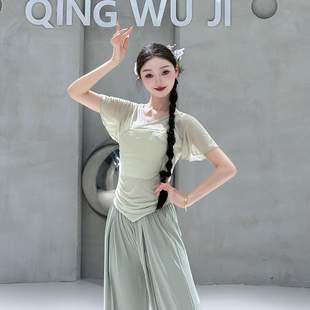 练功服上衣训练艺考服中国舞现代舞 网纱短袖 古典舞新款 身韵小飞袖
