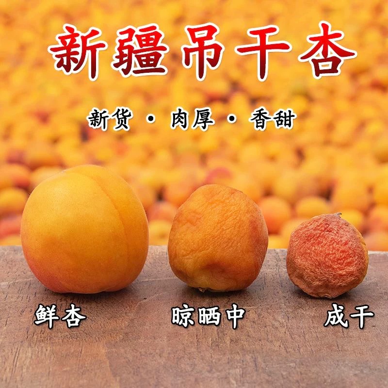 新疆特产吊干杏2026年杏干