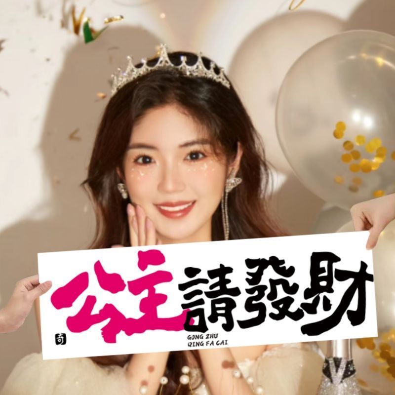 公主庆生高级氛围感手持横幅网红出片装饰拍摄道具多巴胺ins风
