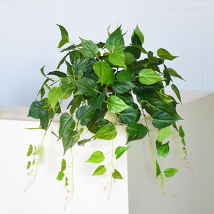 仿真植物绿植阳台装 饰树叶室内外假绿萝盆栽垂吊草植物 饰吊顶装