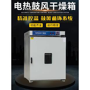 电动恒温鼓风机立式干燥箱双门干燥箱高温烘烤箱工业实验老化加热